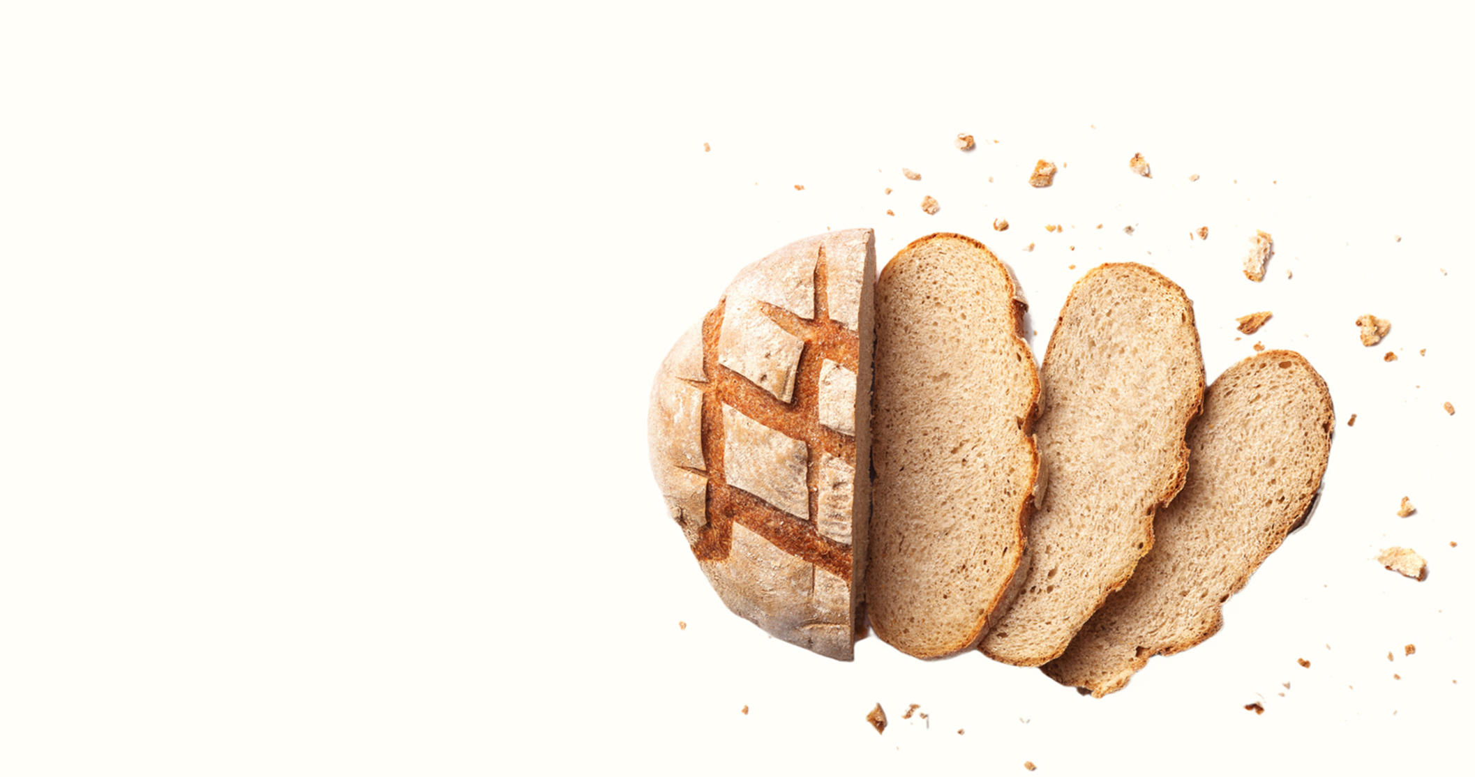 Main Slider